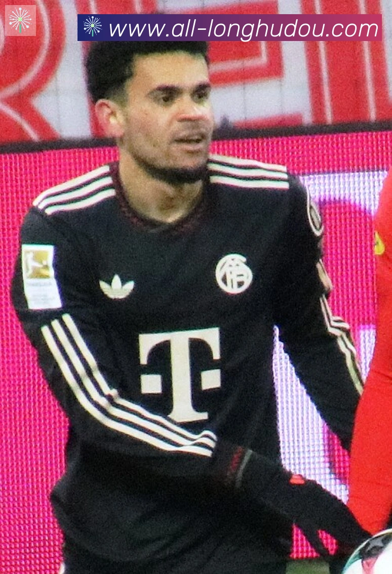 维尼修斯